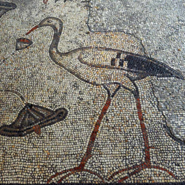 Cigogne (mosaïque du 5e siècle. Tabgha)